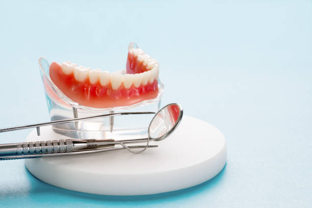 Best Periodontal (Gum) Disease Treatment  in Park Falls, WI