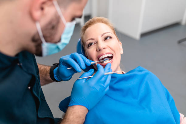  Park Falls, WI Holistic Dental Services Pros
